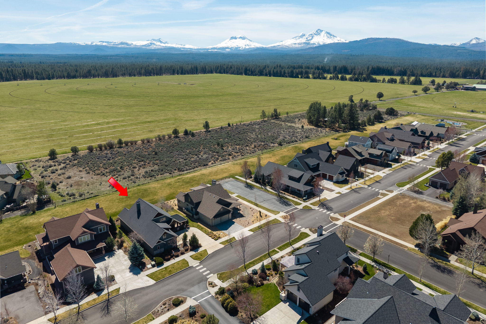  Photo 99
