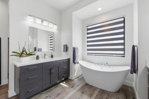 Primary Bathroom 1