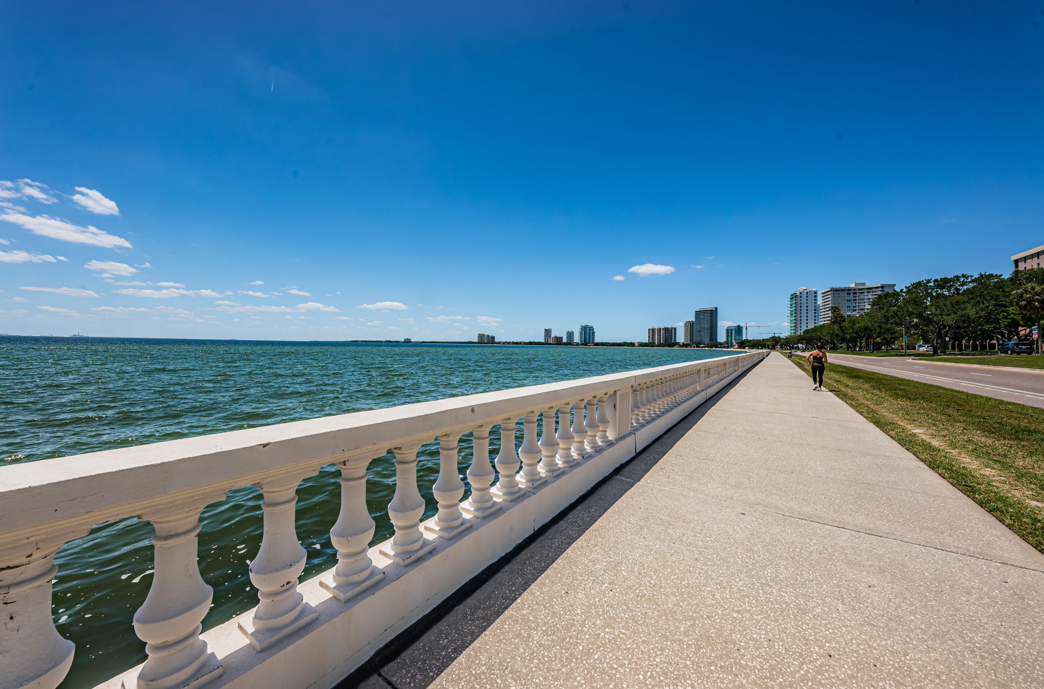 88-print-Bayshore Blvd11