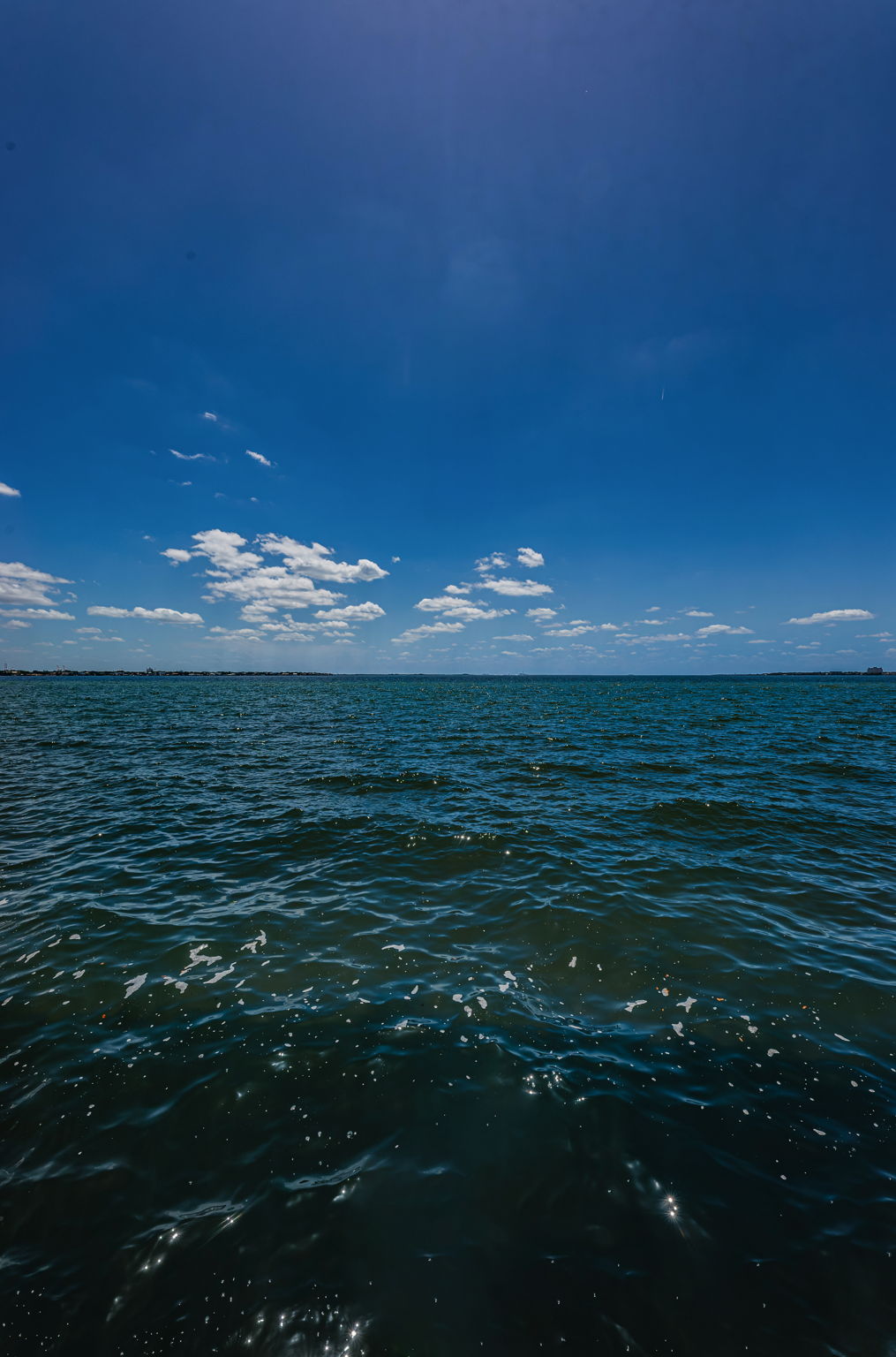 90-print-Bayshore Blvd Water View12