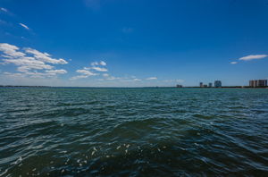 91-print-Bayshore Blvd Water View13