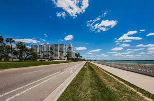 94-print-Bayshore Blvd14