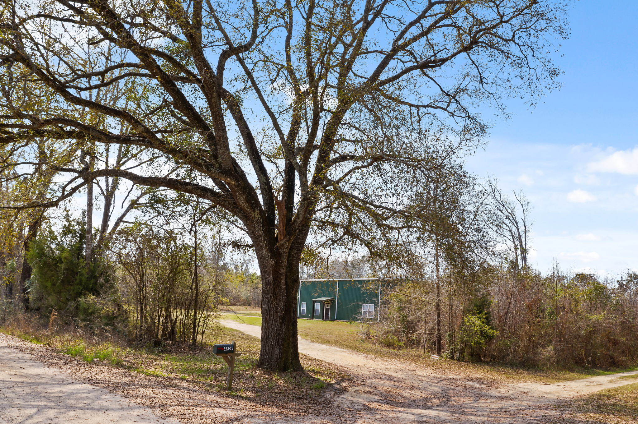 4811 Lavista Rd, Graceville, FL 32440 Sirpixalot