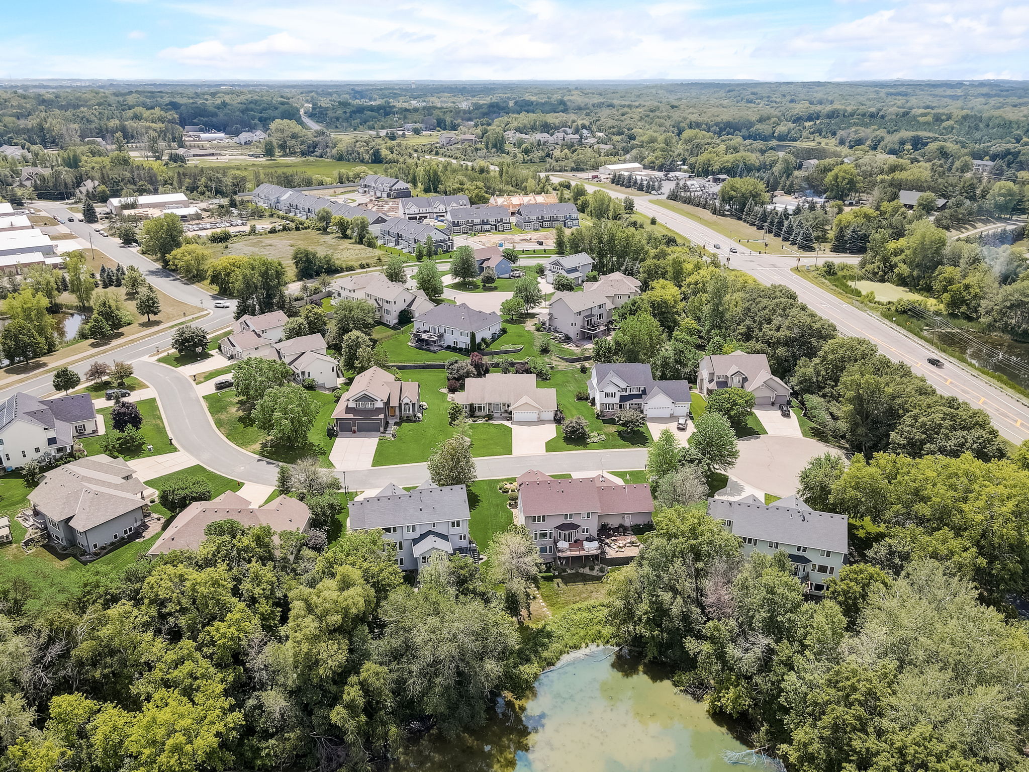 Red Pine Ct-006