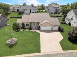 Red Pine Ct-002