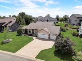 Red Pine Ct-001