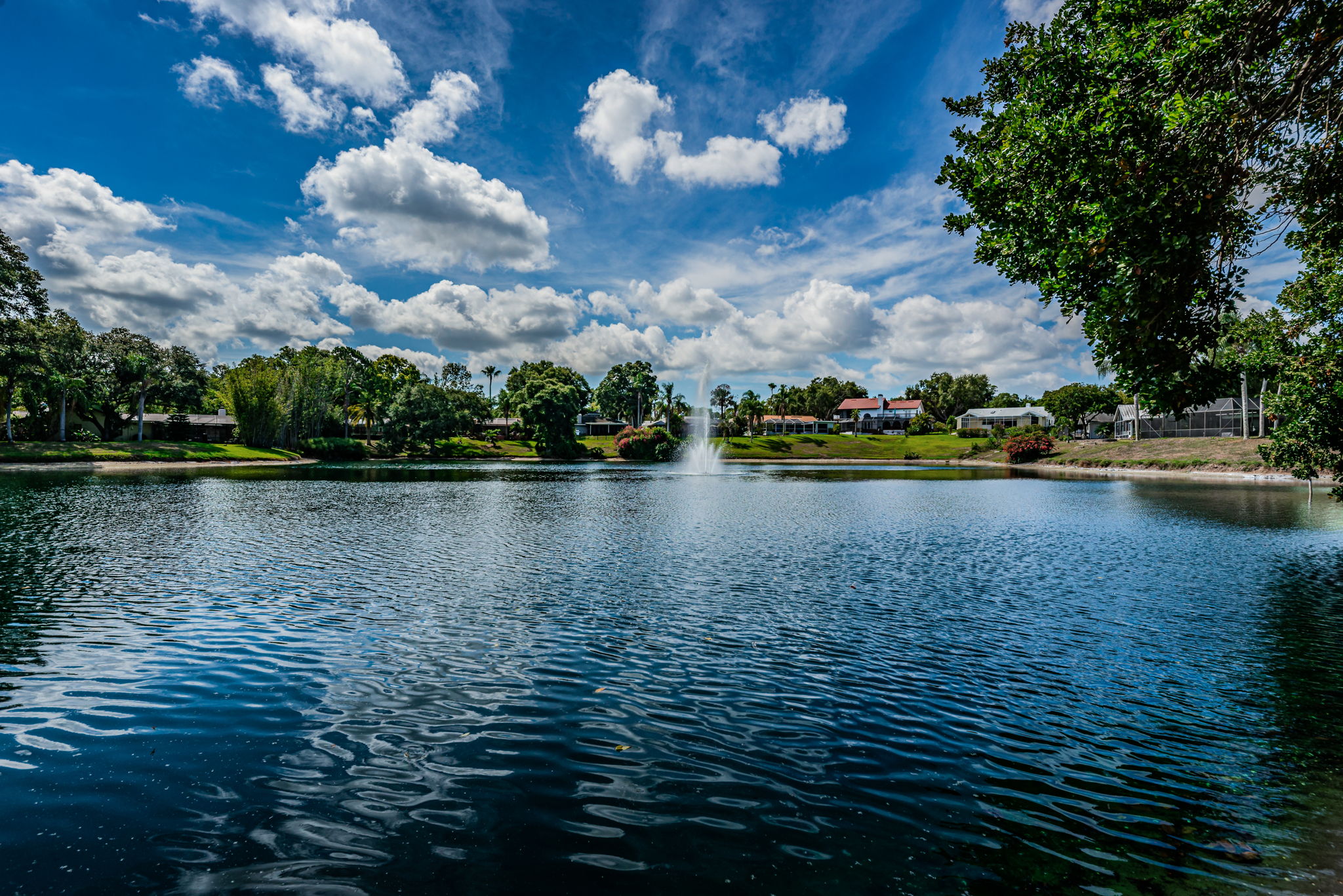 Backyard Water View1