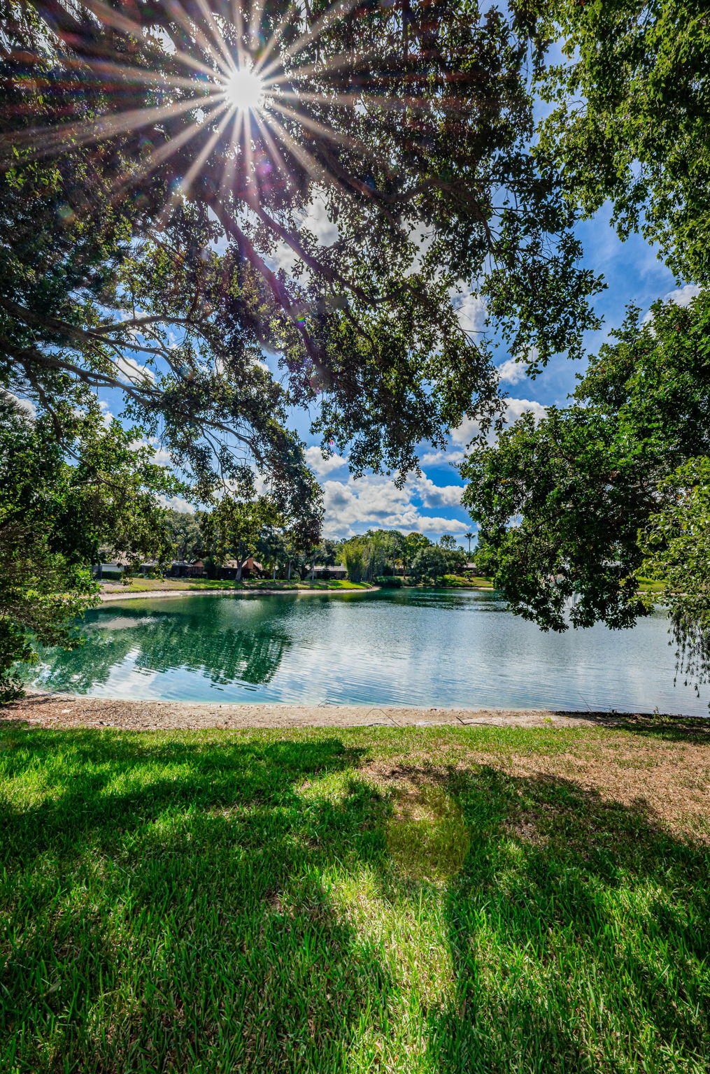 Backyard2