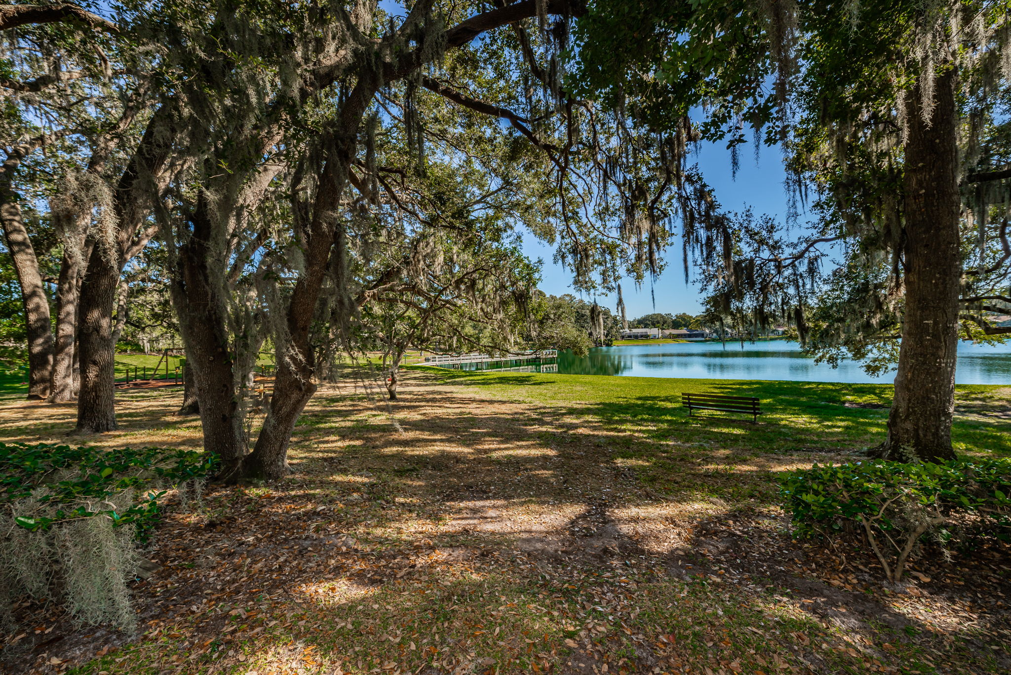 Lake Valencia West4
