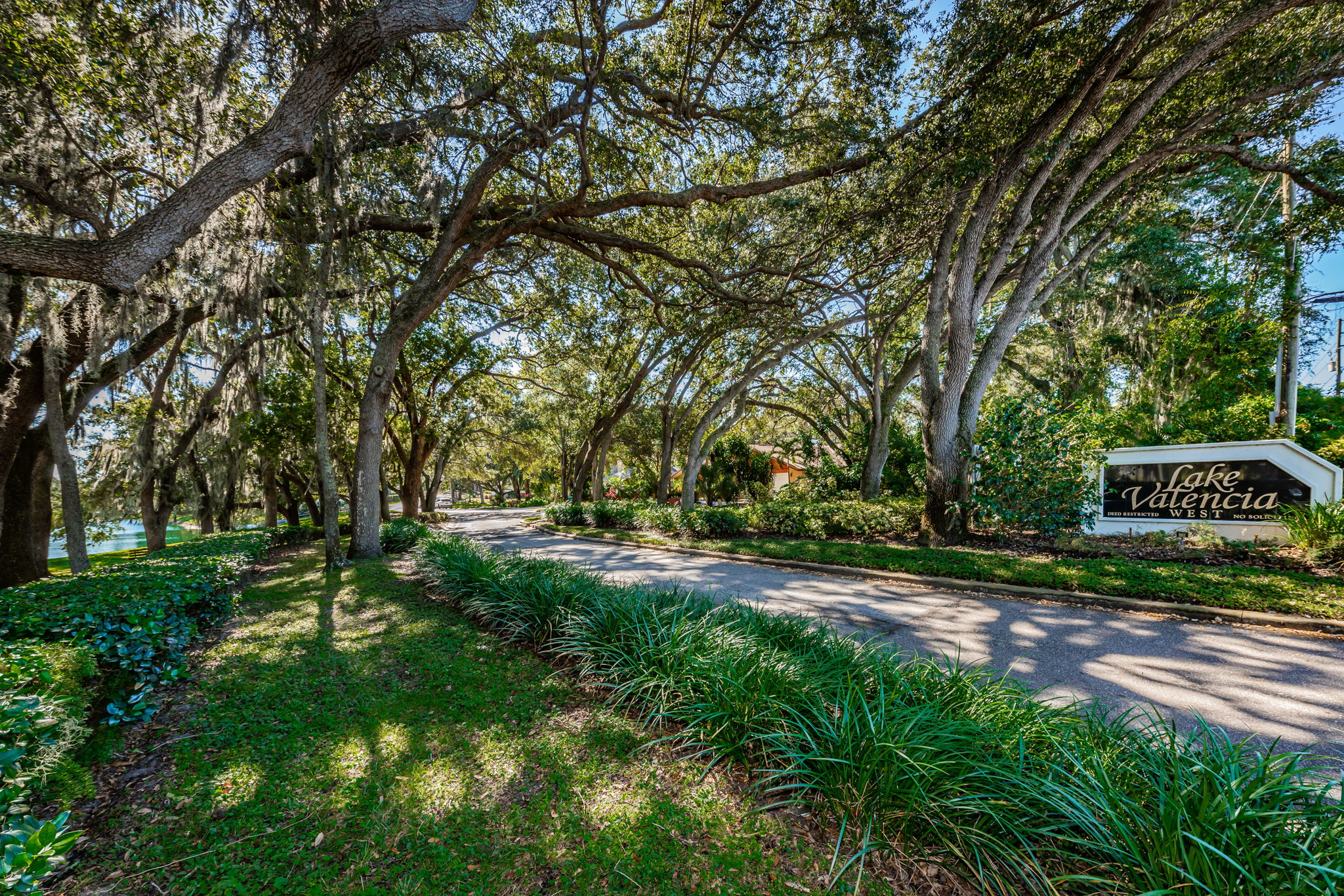 Lake Valencia West26