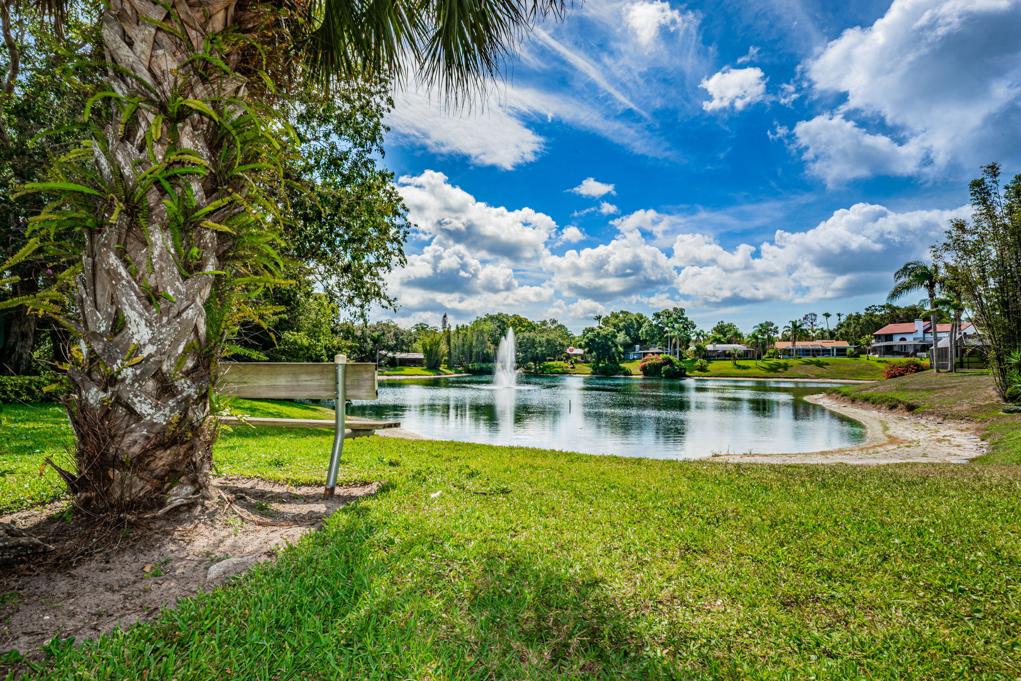 Lake Valencia West21