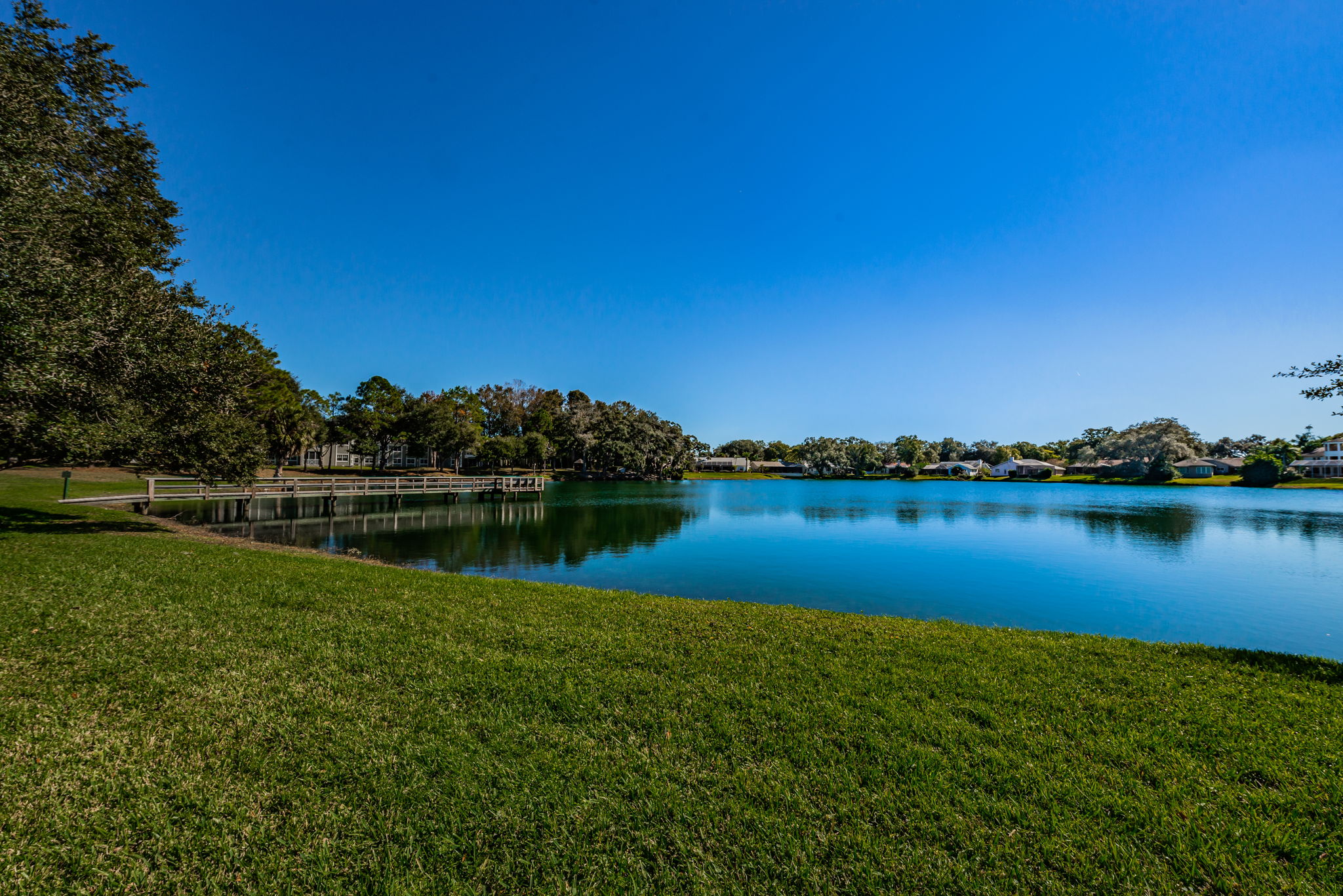 Lake Valencia West18