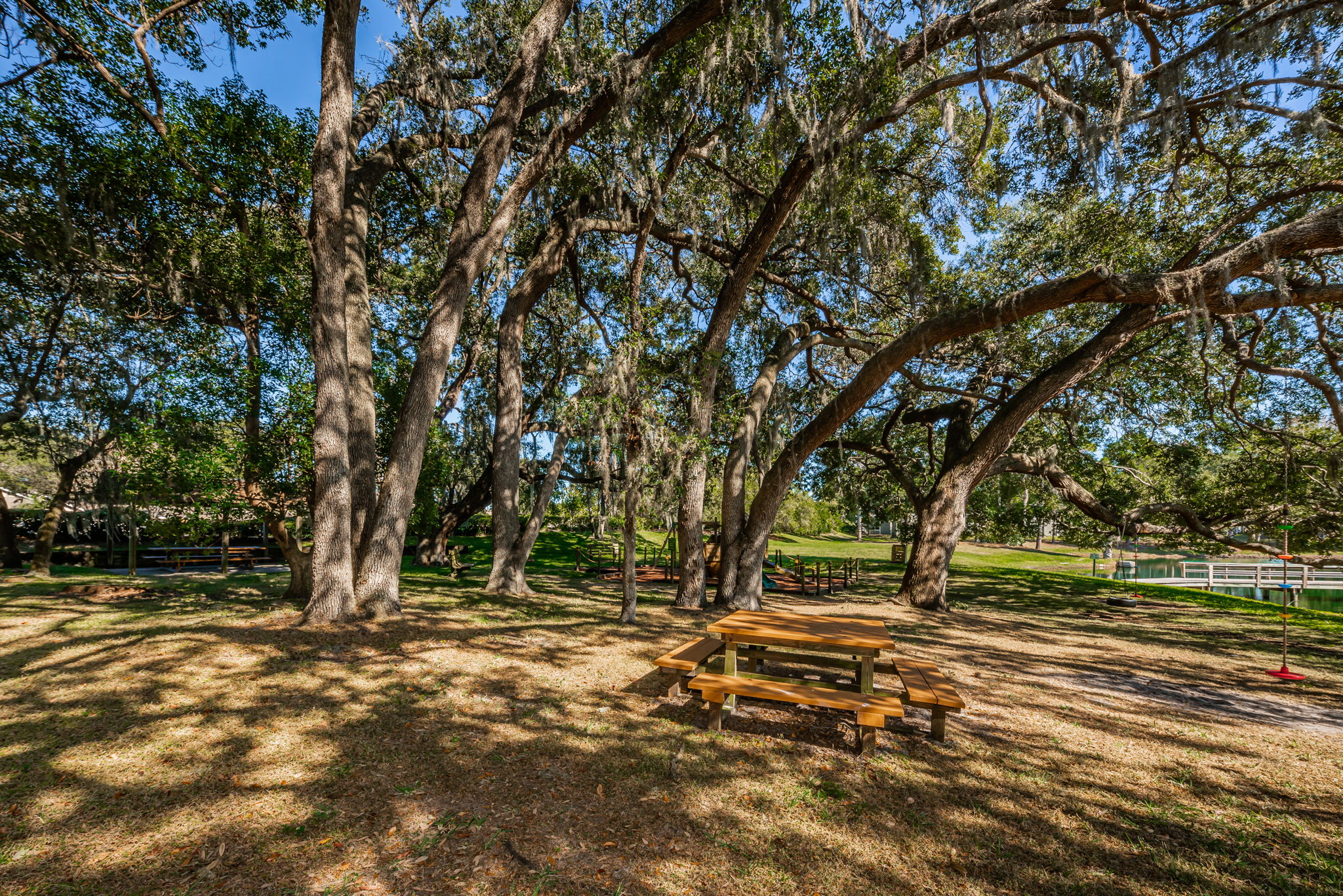 Lake Valencia West5