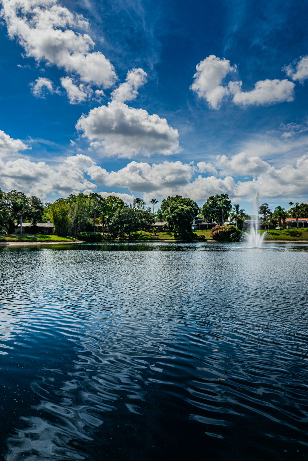 Backyard Water View2