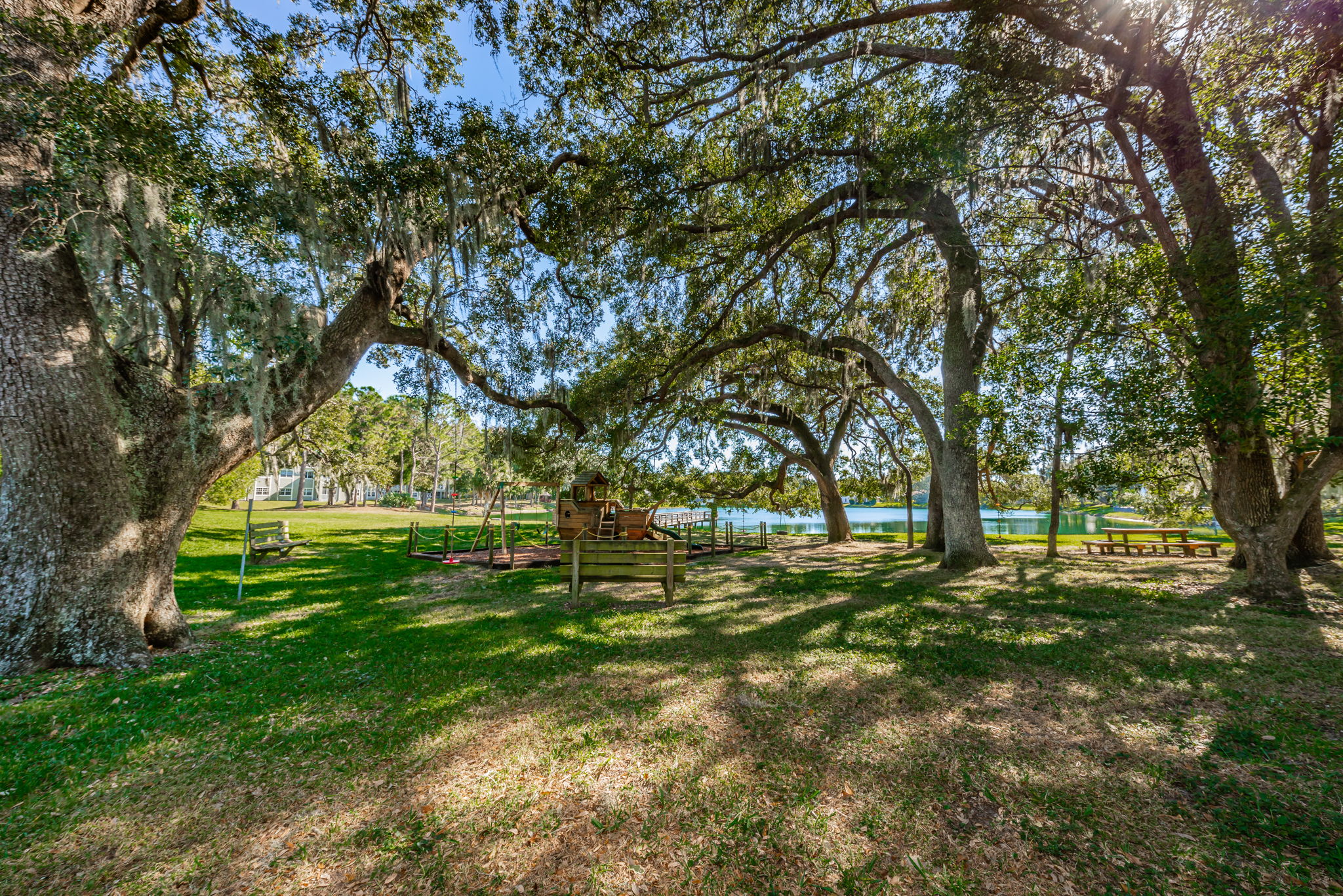 Lake Valencia West8