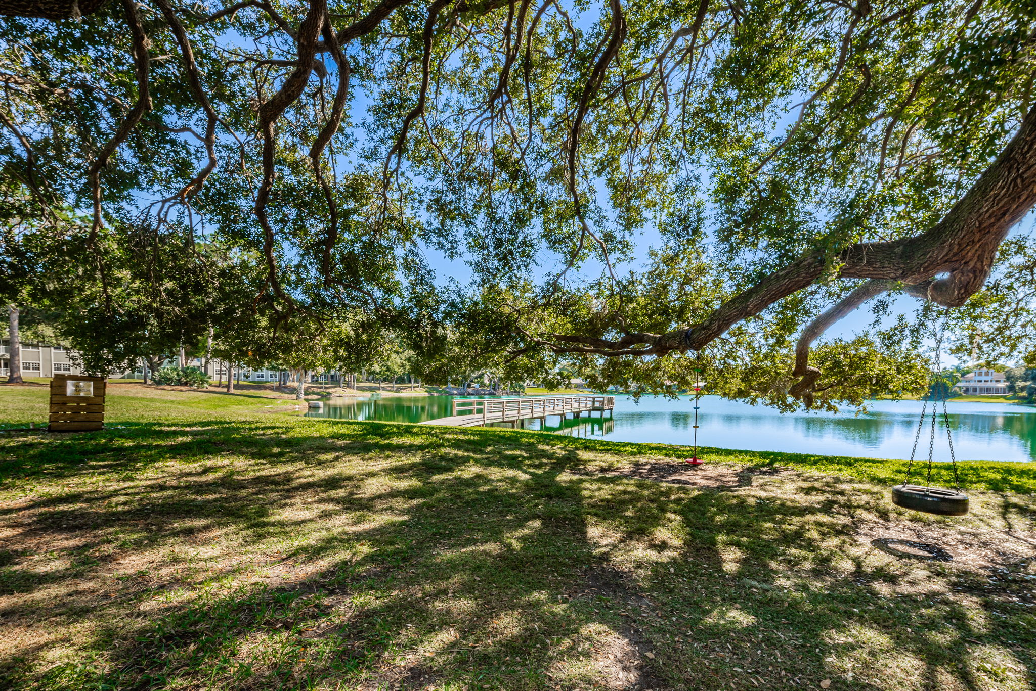 Lake Valencia West12