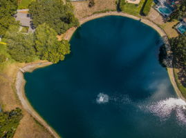 Aerial (14)