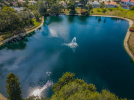 Aerial (12)