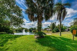 Lake Valencia West25