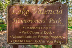 Lake Valencia West3