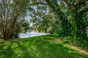Backyard3