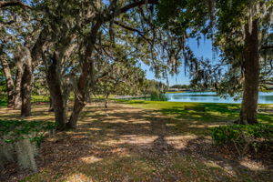 Lake Valencia West4