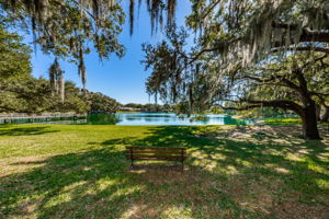 Lake Valencia West9
