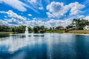 Lake Valencia West22