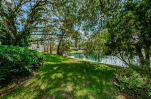 Backyard1
