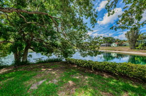 Backyard34