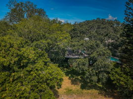 Aerial (7)