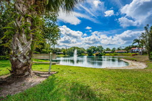 Lake Valencia West21