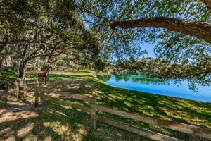 Lake Valencia West19