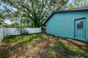 Fenced Backyard2