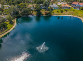 Aerial (19)