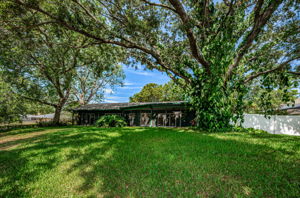 Backyard5