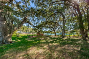 Lake Valencia West8