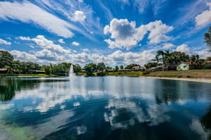 Lake Valencia West24