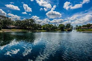 Backyard Water View3