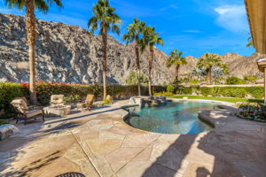 Back Yard & Palm Trees