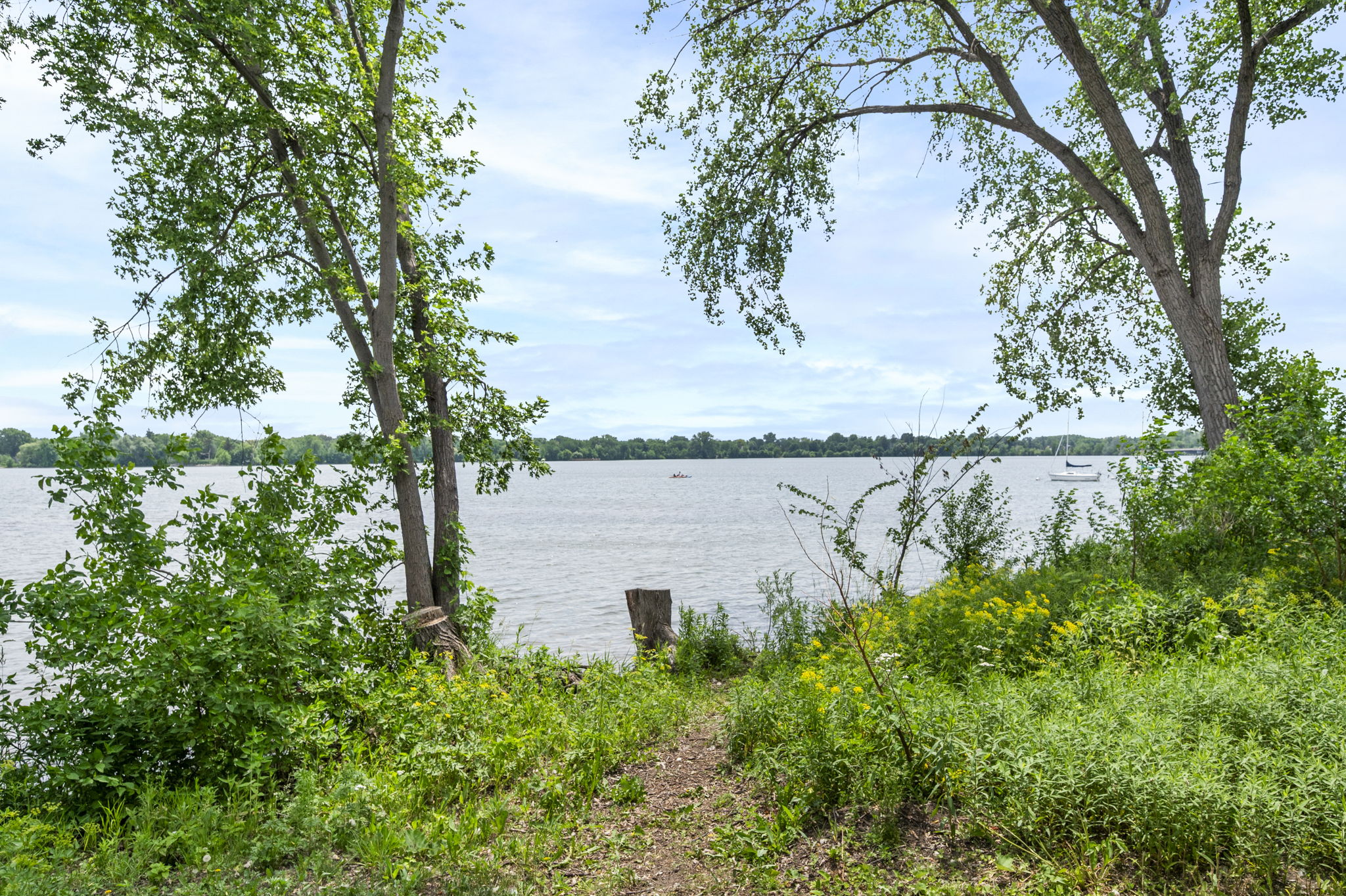  Photo 44