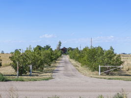  Photo 0