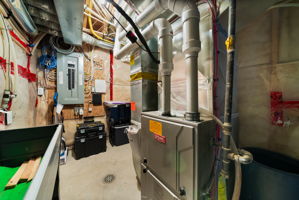  Photo 45