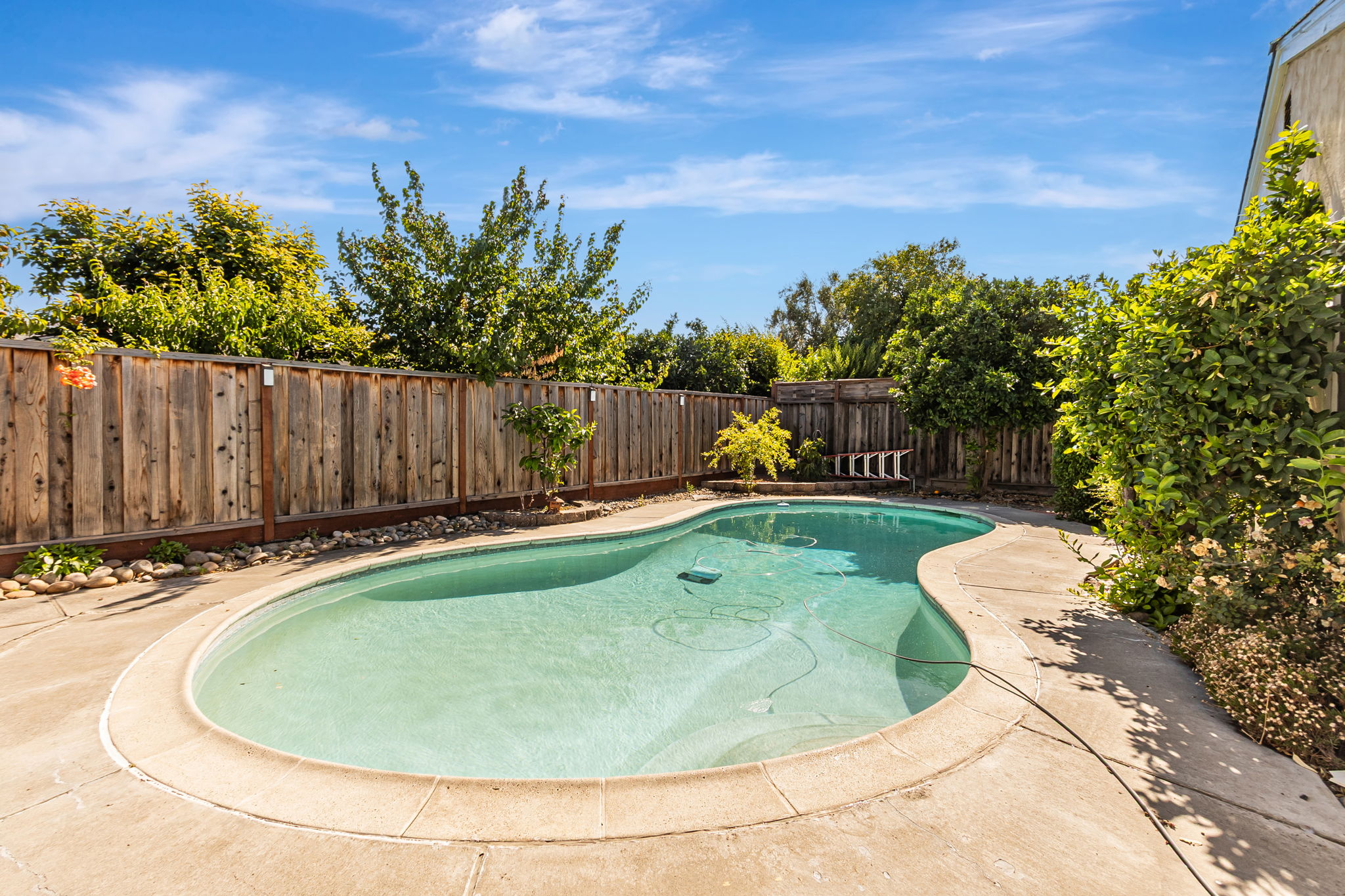 039_482 Calero Ave 