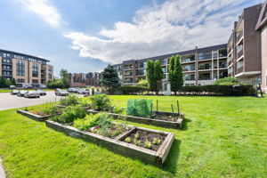 Community Garden