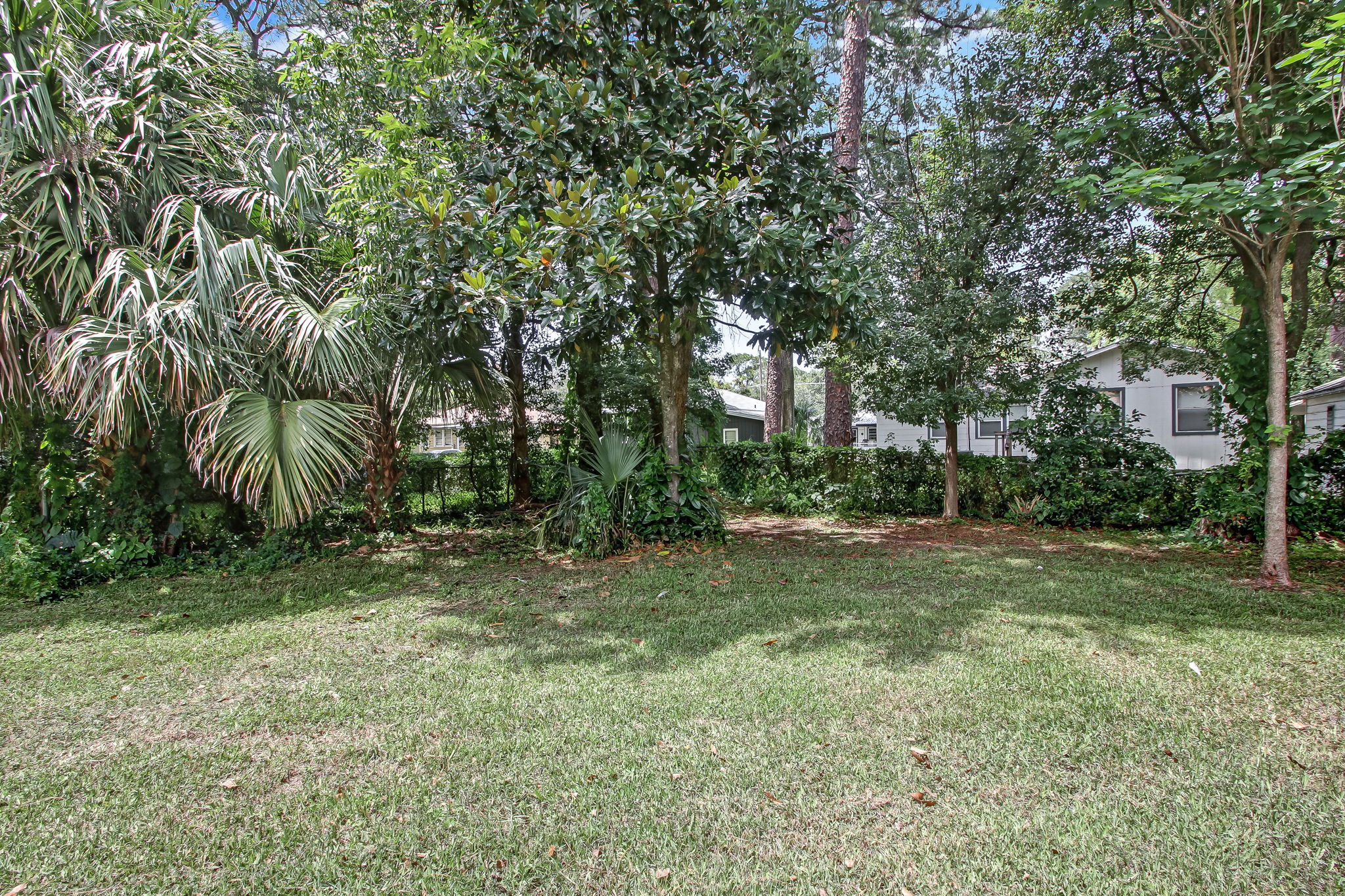 Backyard