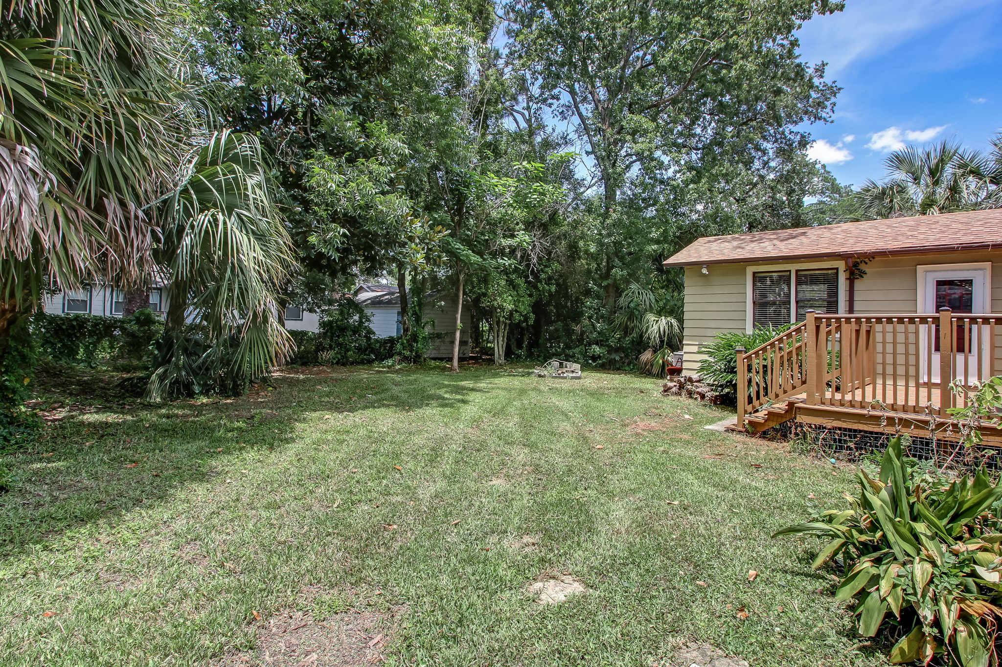 Backyard