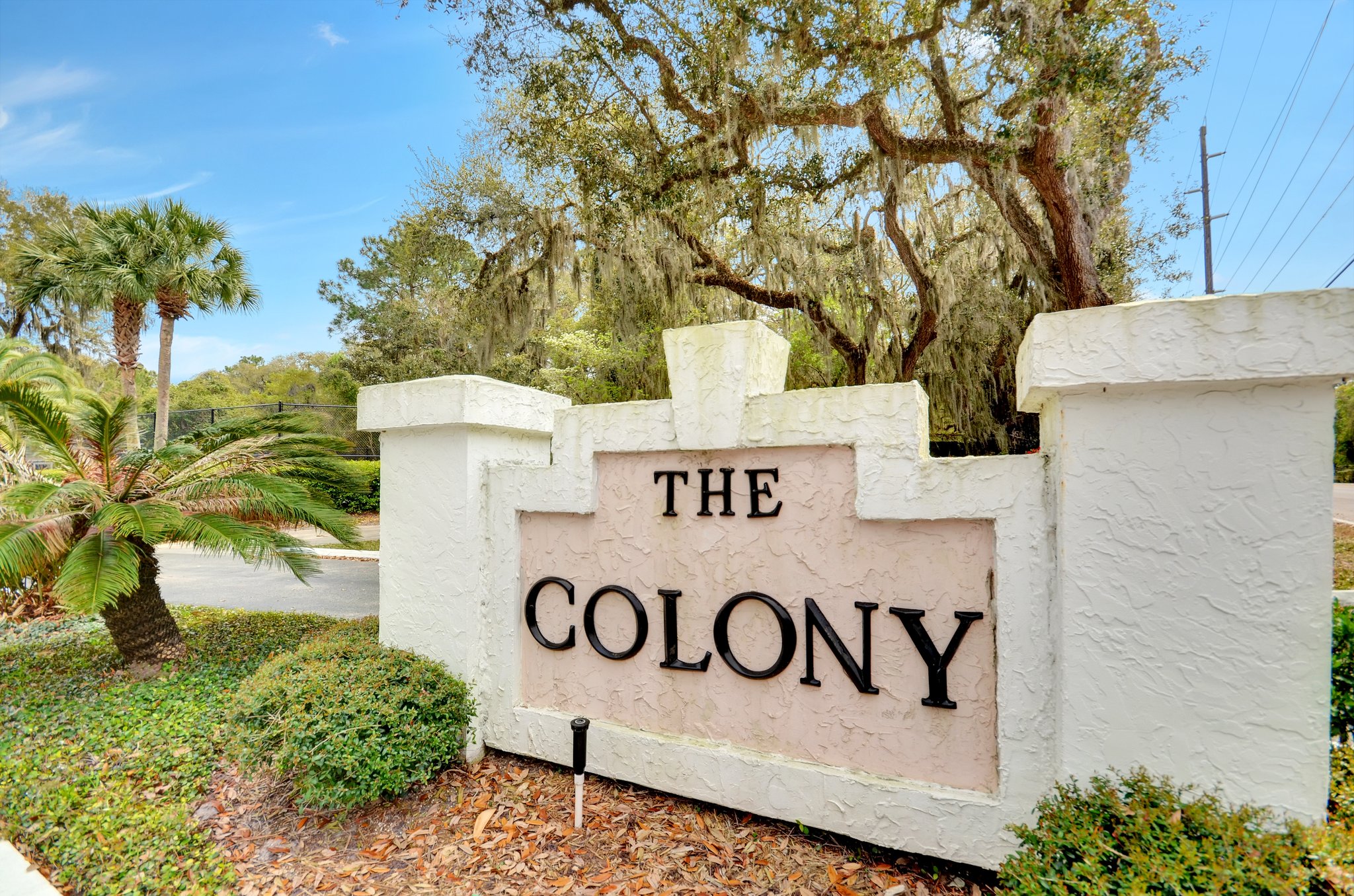 The Colony