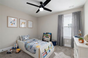  Photo 47