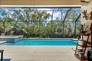 Screen-In Pool & Hot Tub